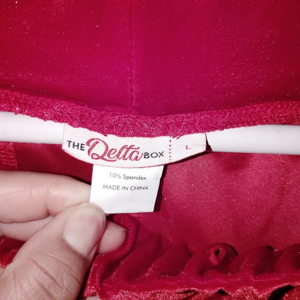 Delta Sigma Theta Women's Velvet Track Suit with White Side Stripe - Dark Red L - Picture 7 of 9